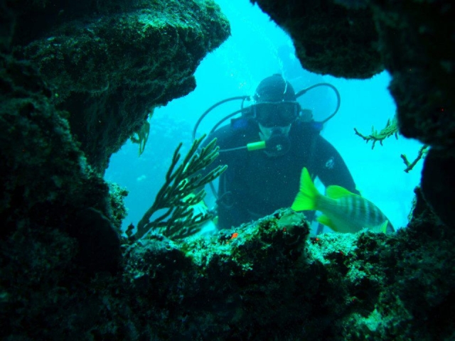  Exploring reefs 